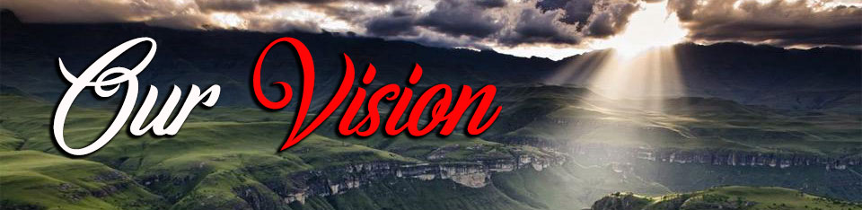 vision